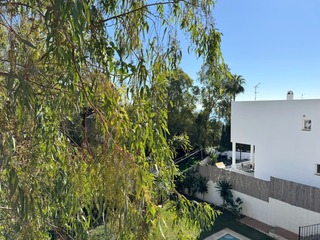 Descripcion de la Foto