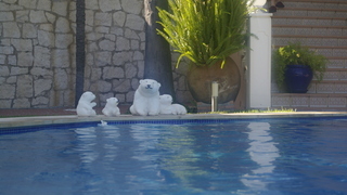 Descripcion de la Foto